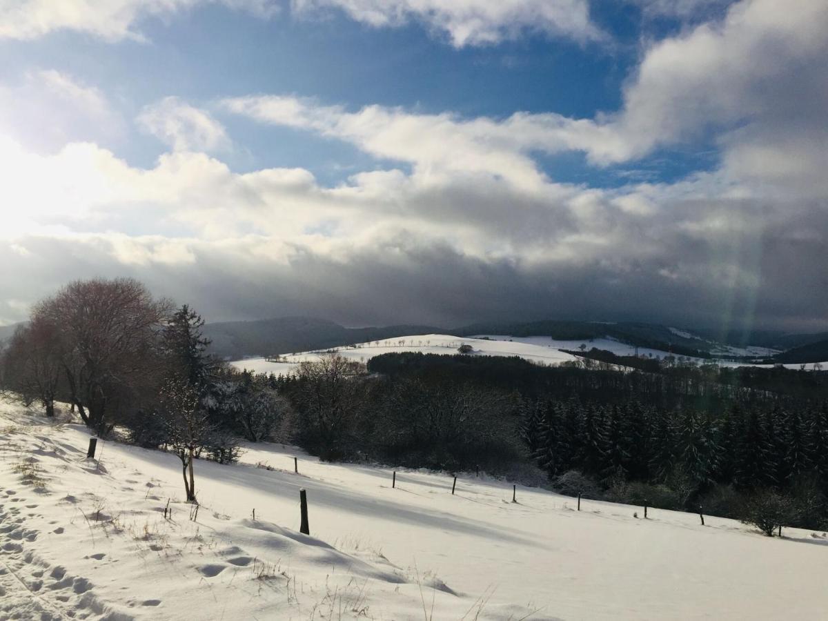 Cosy Over Usseln With Private Terrace Apartment Willingen (Upland)