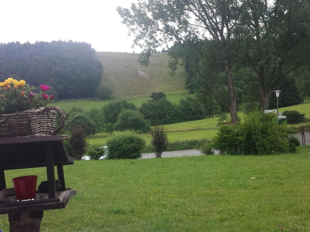 Apartment Cosy Over Usseln With Private Terrace Willingen (Upland)
